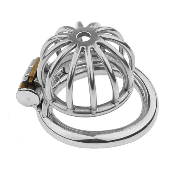 2023 New Metal Chastity Cage Male 2 Type Cock Cage - 12 Spokes